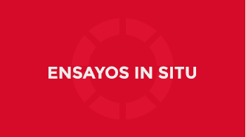 Ensayos in-situ